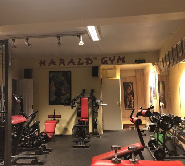 Harald's Gym