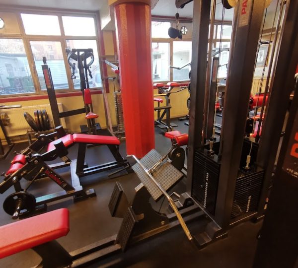 Harald's Gym