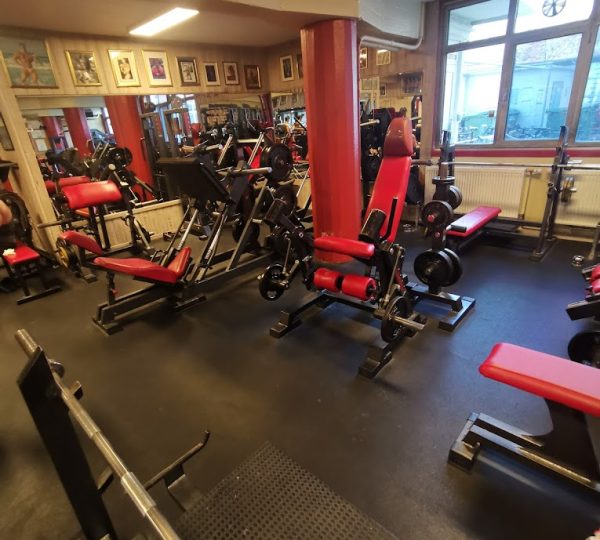 Harald's Gym