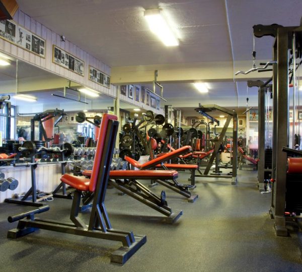 Harald's Gym