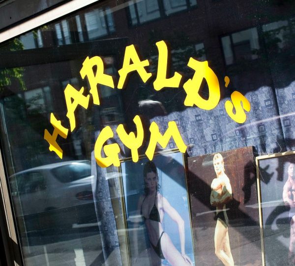 Harald's Gym