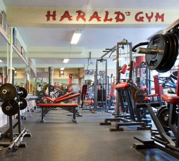 Harald's Gym