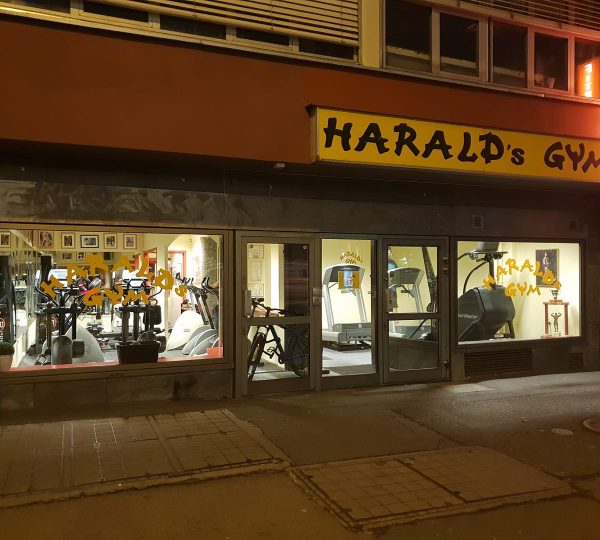 Harald's Gym