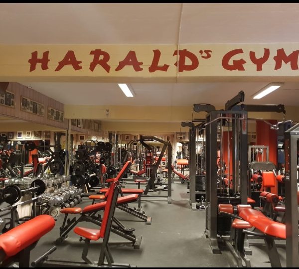 Harald’s Gym