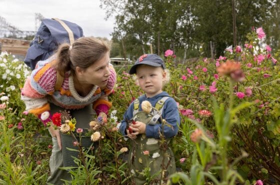 on August 17, 2024 at 07:00 Oslo-perler å sjekke ut med barn – før høsten er her​Aftenposten Title