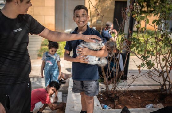 on September 28, 2024 at 13:01 Familien grep katten og flyktet fra marerittet i natt. Nå sover de under åpen himmel mens israelske droner flyr over dem.​Aftenposten Title